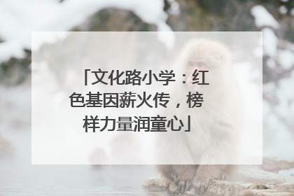文化路小学：红色基因薪火传，榜样力量润童心