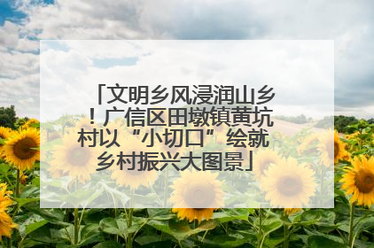 文明乡风浸润山乡！广信区田墩镇黄坑村以“小切口”绘就乡村振兴大图景