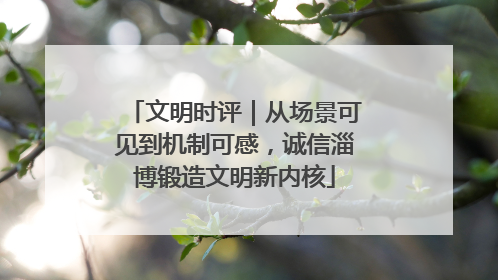 文明时评｜从场景可见到机制可感，诚信淄博锻造文明新内核