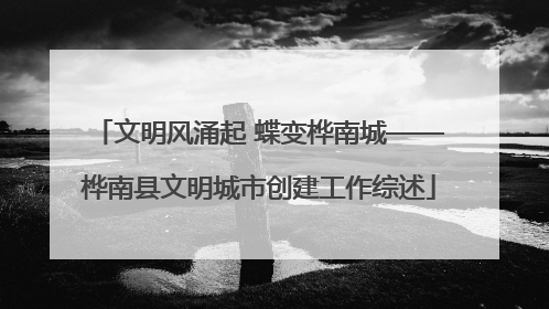 文明风涌起 蝶变桦南城——桦南县文明城市创建工作综述