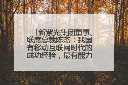 新紫光集团董事、联席总裁陈杰：我国有移动互联网时代的成功经验，最有能力做好AI应用创新