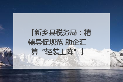 新乡县税务局：精辅导促规范 助企汇算“轻装上阵”