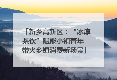 新乡高新区：“冰淳茶饮”赋能小镇青年 带火乡镇消费新场景