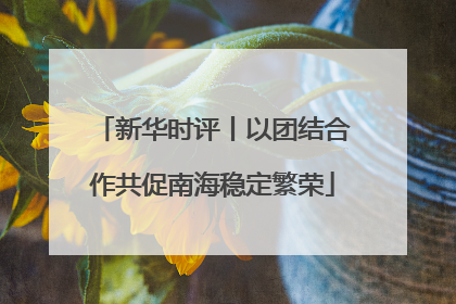 新华时评丨以团结合作共促南海稳定繁荣