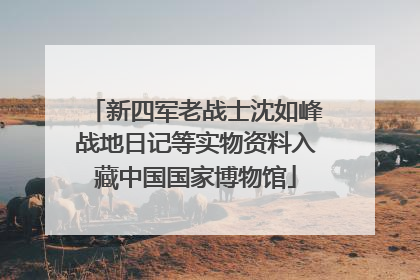 新四军老战士沈如峰战地日记等实物资料入藏中国国家博物馆