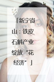 新宁崀山：铁皮石斛产业绽放“花经济”