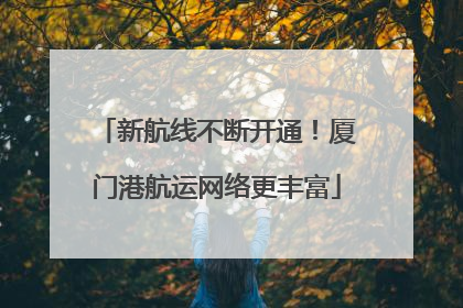 新航线不断开通！厦门港航运网络更丰富