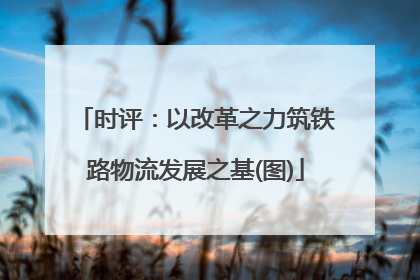 时评：以改革之力筑铁路物流发展之基(图)