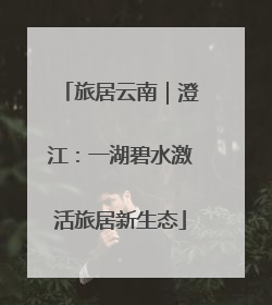 旅居云南｜澄江：一湖碧水激活旅居新生态