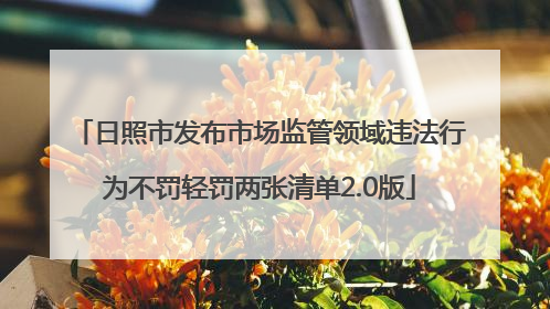 日照市发布市场监管领域违法行为不罚轻罚两张清单2.0版