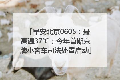 早安北京0605：最高温37℃；今年首期京牌小客车司法处置启动