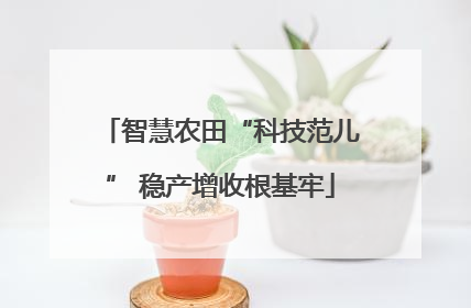 智慧农田“科技范儿” 稳产增收根基牢