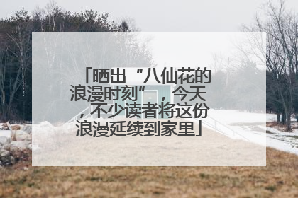 晒出“八仙花的浪漫时刻”，今天，不少读者将这份浪漫延续到家里