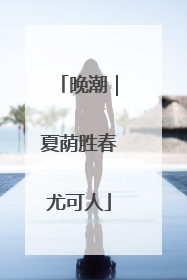 晚潮｜夏荫胜春尤可人