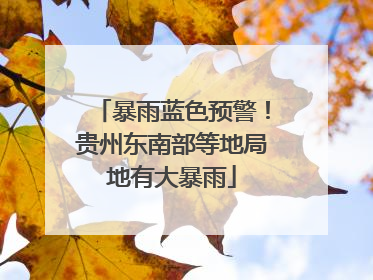 暴雨蓝色预警！贵州东南部等地局地有大暴雨