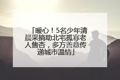 暖心！5名少年清晨采摘助北宅孤寡老人售杏，多方善意传递城市温情