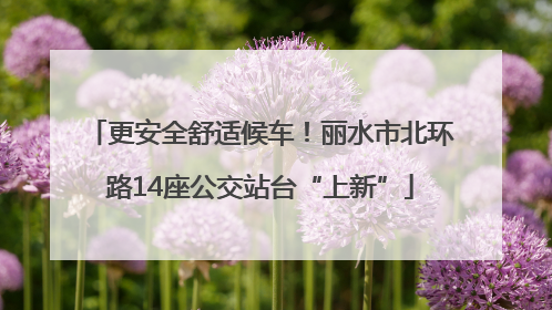 更安全舒适候车！丽水市北环路14座公交站台“上新”