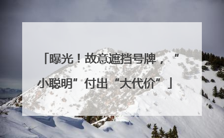曝光！故意遮挡号牌，“小聪明”付出“大代价”