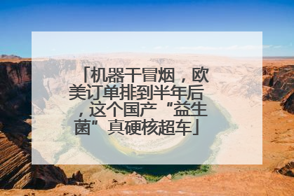 机器干冒烟，欧美订单排到半年后，这个国产“益生菌”真硬核超车