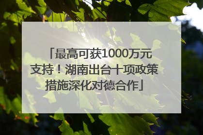 最高可获1000万元支持！湖南出台十项政策措施深化对德合作