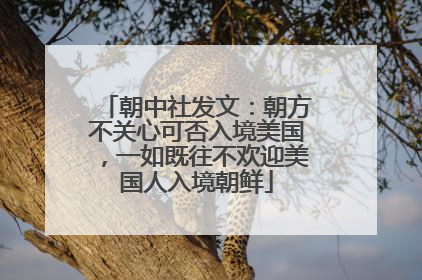 朝中社发文：朝方不关心可否入境美国，一如既往不欢迎美国人入境朝鲜