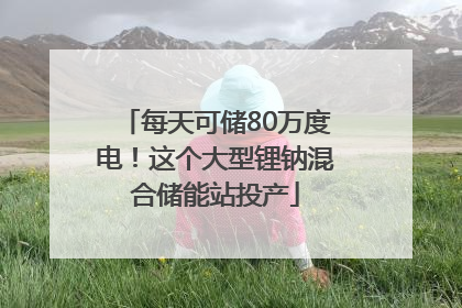 每天可储80万度电！这个大型锂钠混合储能站投产