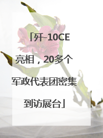 歼-10CE亮相，20多个军政代表团密集到访展台