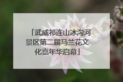 武威祁连山冰沟河景区第二届马兰花文化嘉年华启幕