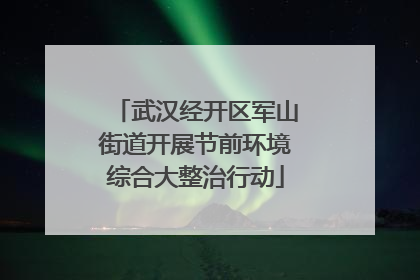 武汉经开区军山街道开展节前环境综合大整治行动