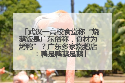 武汉一高校食堂称“烧鹅饭是广东俗称，食材为烤鸭”？广东多家烧鹅店：鸭是鸭鹅是鹅
