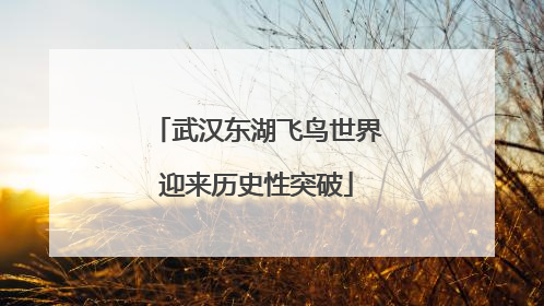 武汉东湖飞鸟世界迎来历史性突破