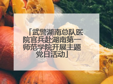 武警湖南总队医院官兵赴湖南第一师范学院开展主题党日活动