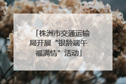 株洲市交通运输局开展“银龄端午福满情”活动