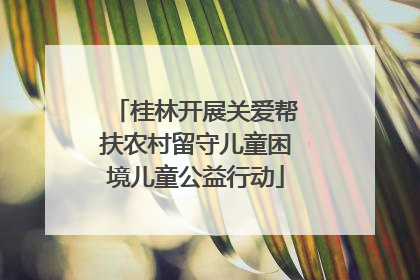 桂林开展关爱帮扶农村留守儿童困境儿童公益行动