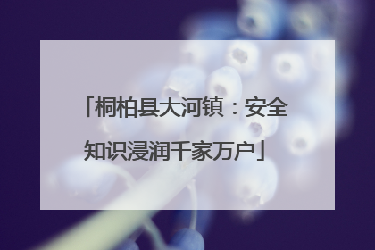 桐柏县大河镇：安全知识浸润千家万户