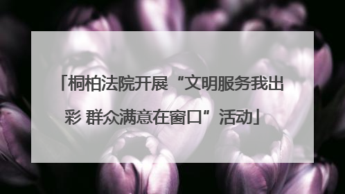 桐柏法院开展“文明服务我出彩 群众满意在窗口”活动