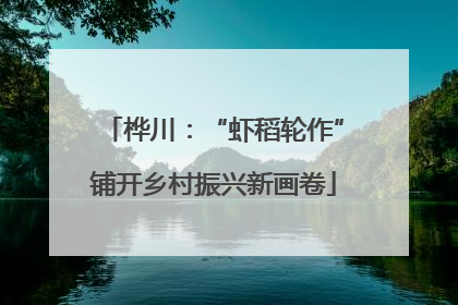 桦川：“虾稻轮作”铺开乡村振兴新画卷