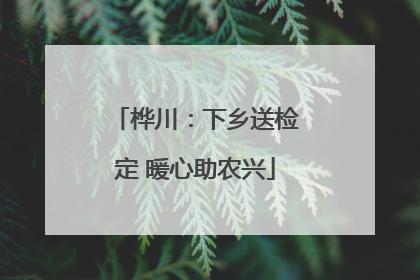 桦川：下乡送检定 暖心助农兴