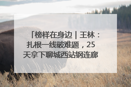 榜样在身边｜王林：扎根一线破难题，25天拿下聊城西站钢连廊“硬核”工程