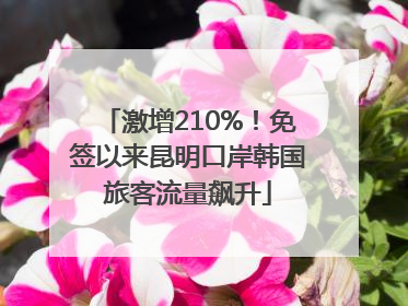 激增210%！免签以来昆明口岸韩国旅客流量飙升