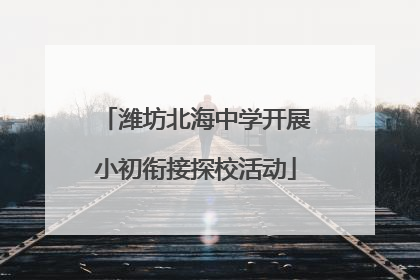 潍坊北海中学开展小初衔接探校活动