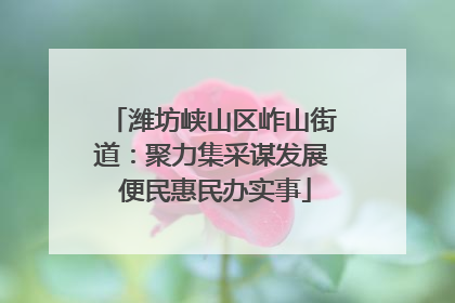 潍坊峡山区岞山街道：聚力集采谋发展 便民惠民办实事