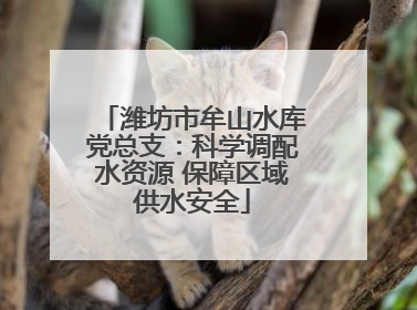 潍坊市牟山水库党总支：科学调配水资源 保障区域供水安全