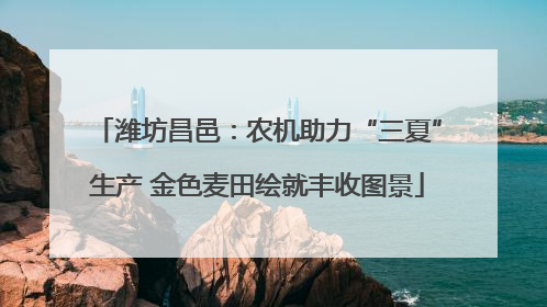 潍坊昌邑：农机助力“三夏”生产 金色麦田绘就丰收图景