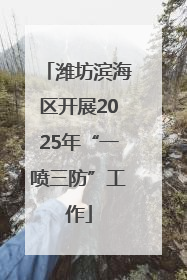 潍坊滨海区开展2025年“一喷三防”工作