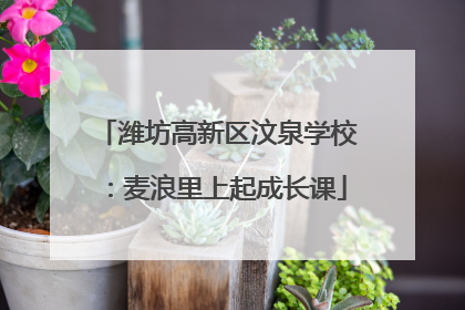 潍坊高新区汶泉学校：麦浪里上起成长课