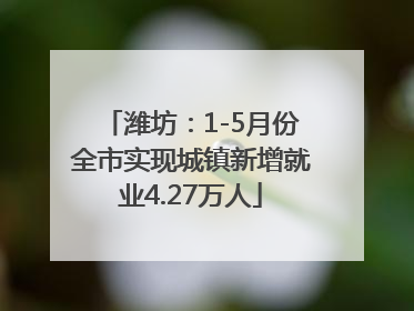 潍坊：1-5月份全市实现城镇新增就业4.27万人
