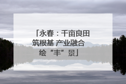 永春：千亩良田筑根基 产业融合绘“丰”景