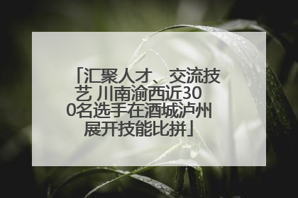 汇聚人才、交流技艺 川南渝西近300名选手在酒城泸州展开技能比拼