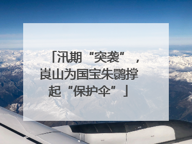 汛期“突袭”，崀山为国宝朱鹮撑起“保护伞”